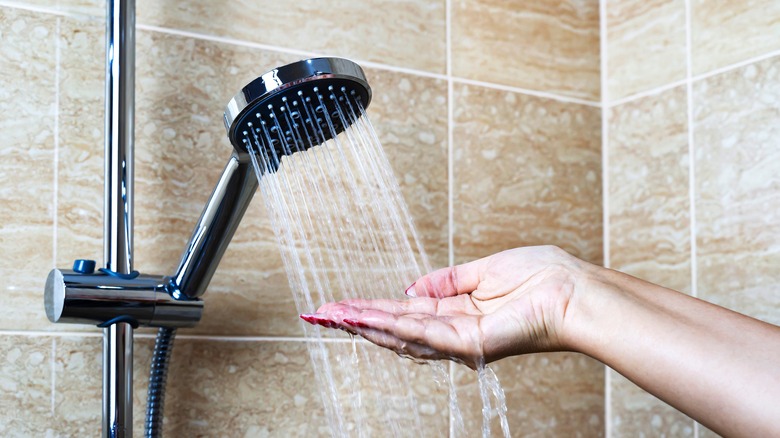 palm testing shower water