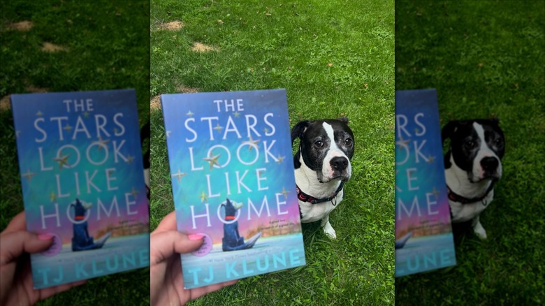 A hand holding a copy of "The Stars Look Like Home" with a dog in the background