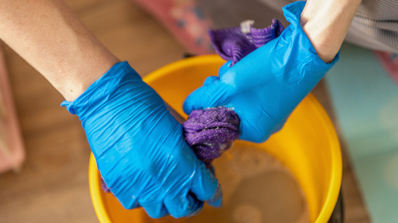 Woman in blue latex gloves and wringing out purple rag
