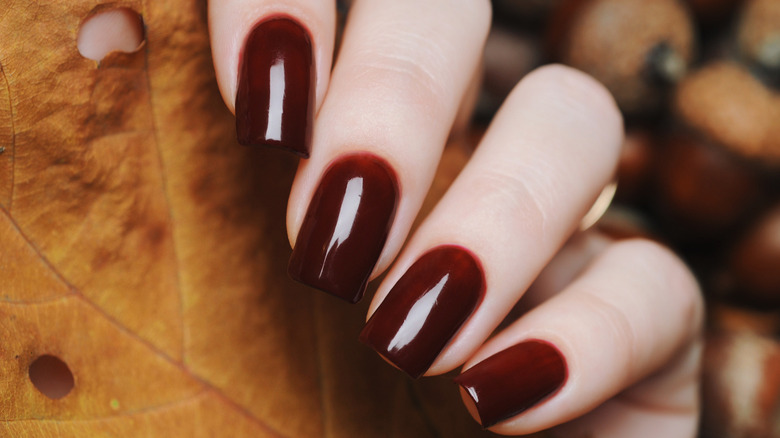 Hand with burgundy nails holding a leaf