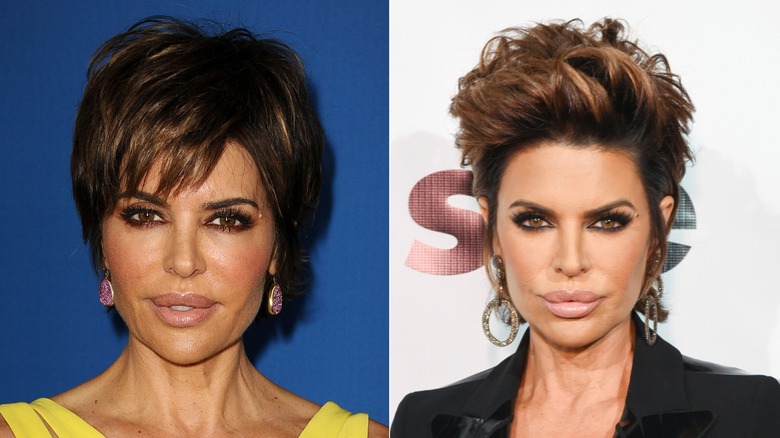 Lisa Rinna with nude lips