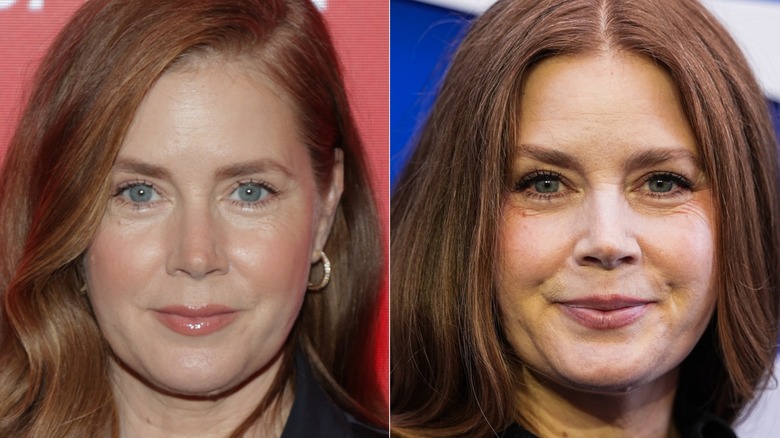 Amy Adams on the red carpet at two events in 2026