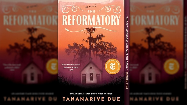 The cover of The Reformatory