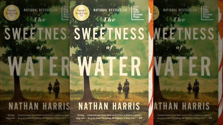 The front cover of The Sweetness of Water by Nathan Harris