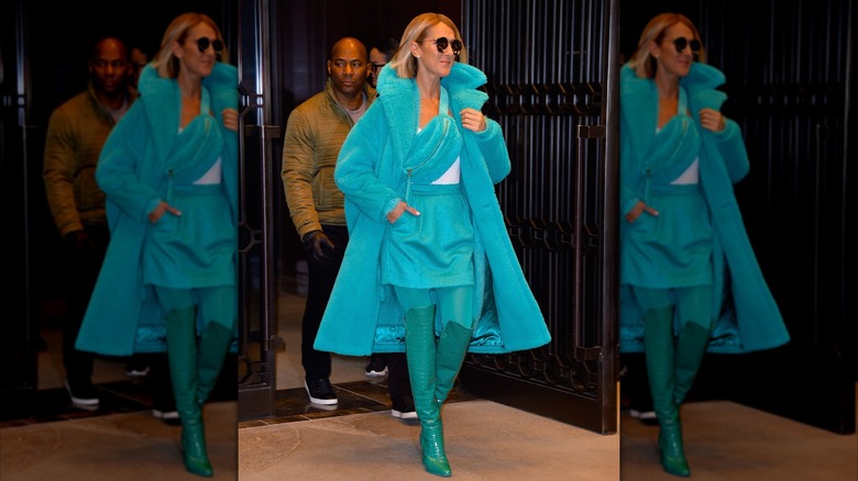 Celine Dion is seen on November 13, 2019 in New York City.
