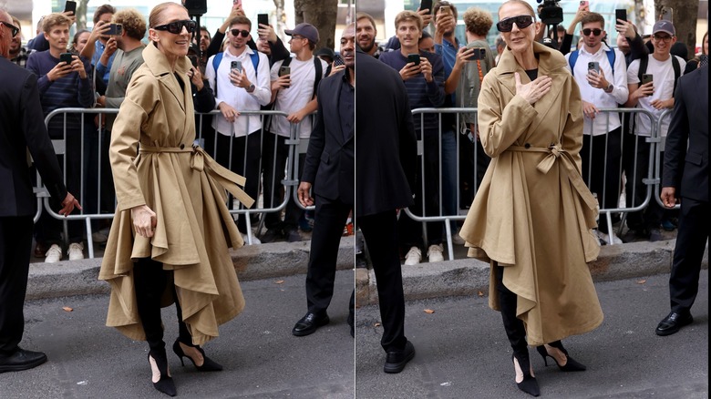Celine Dion at the Royal Monceau Hotel in Paris, France