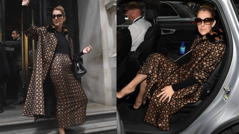 Celine Dion wearing Fendi