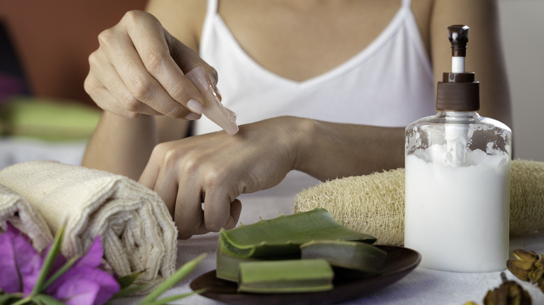 Aloe Vera gel and plant