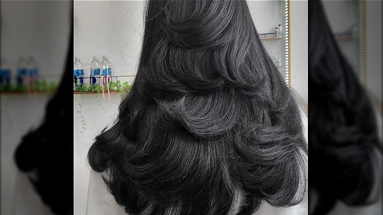 waterfall haircut from behind