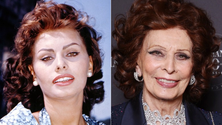 Sophia Loren during a 1954 photoshoot and smiling on the red carpet in 2024