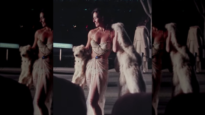 Edy Williams posing at the 1977 Oscars in a provocative sheer dress while holding a fur coat and a dog