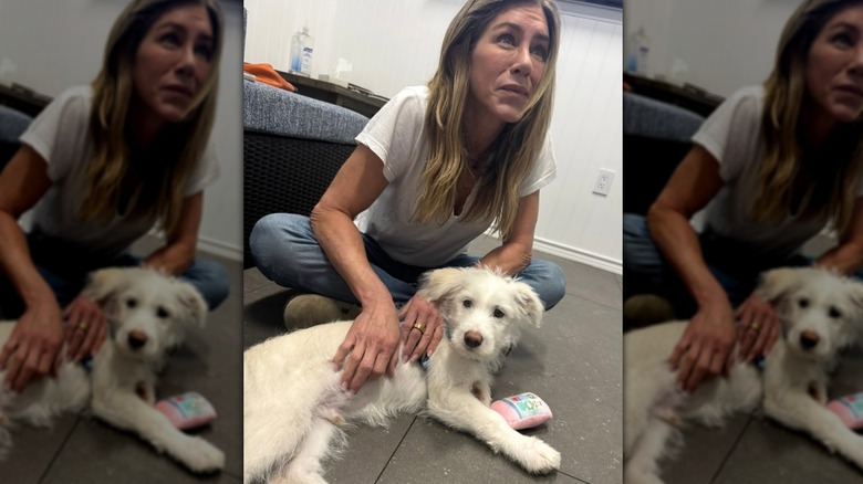 Jennifer Aniston sitting on the floor with a puppy