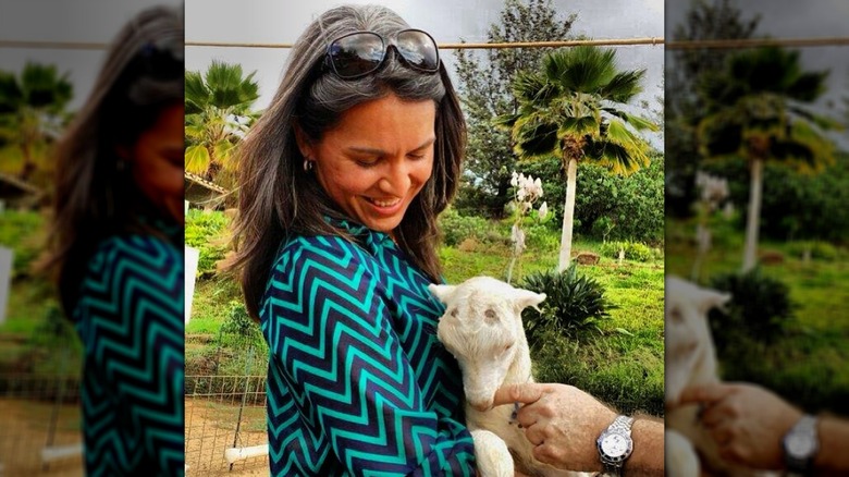 Tulsi Gabbard holding a baby goat in December 2013