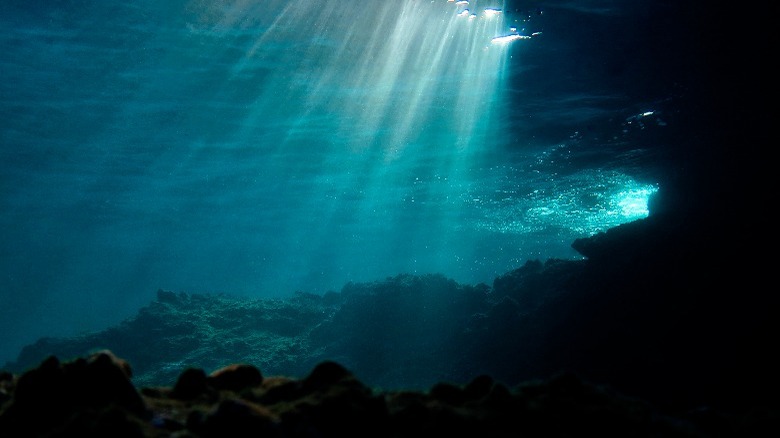 Underwater landscape