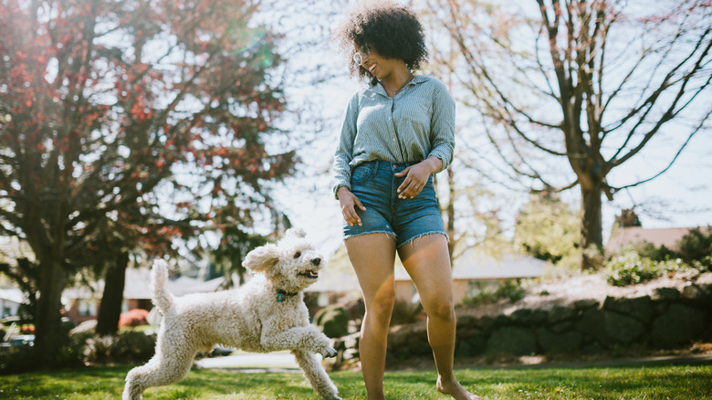 Woman in shorts playing with a dog 