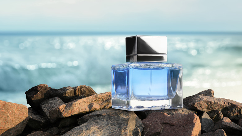 Bottle of aquatic perfume on stones near ocean. Fresh sea breeze scent