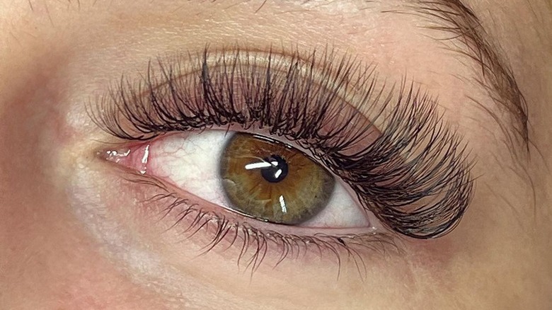 Hybrid lash extensions
