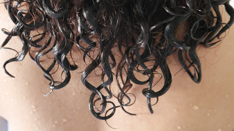 Wet curly hair