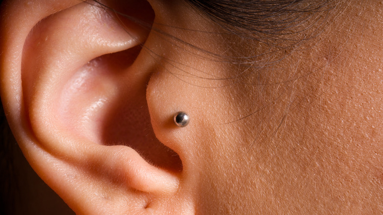tragus piercing
