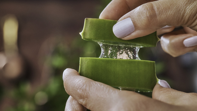 Aloe vera gel