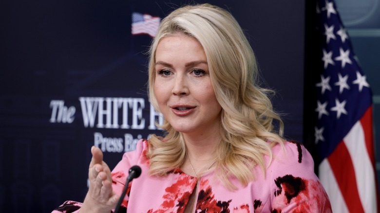 White House Press Secretary Karoline Leavitt speaks during a news briefing at the James S. Brady Press Briefing Room of the White House on March 30
